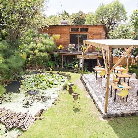 Canto De Aves Eco-Hotel Boutique Malinalco Exteriér fotografie