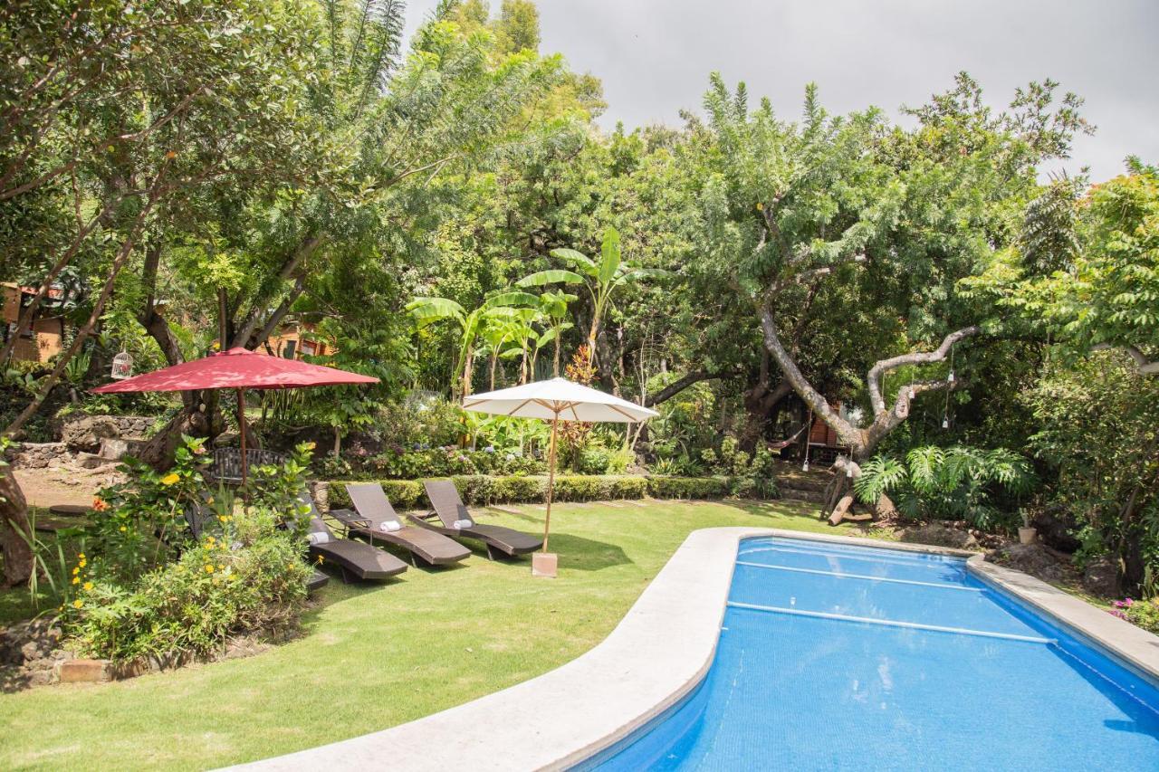 Canto De Aves Eco-Hotel Boutique Malinalco Exteriér fotografie